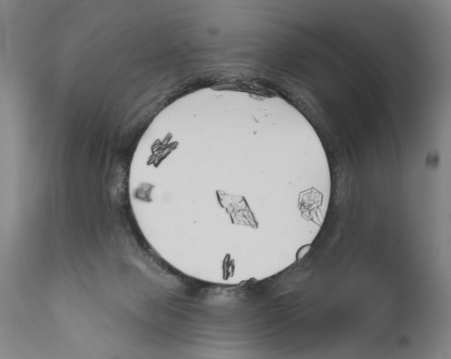 X0000111170077200908121057