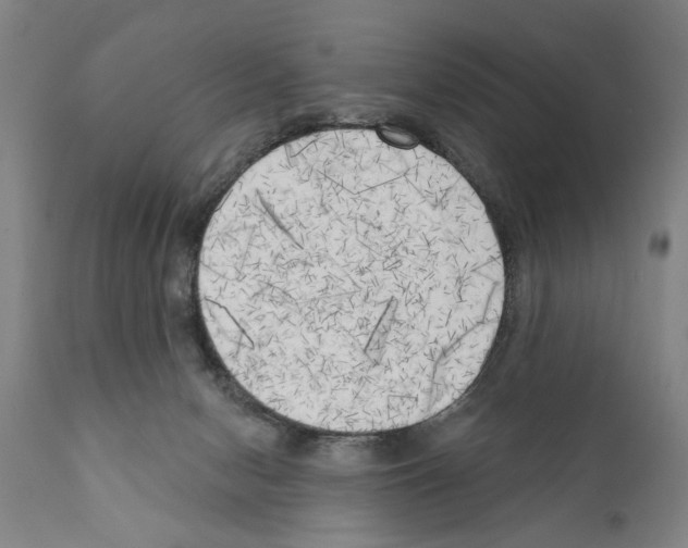 X0000111170078200908121057