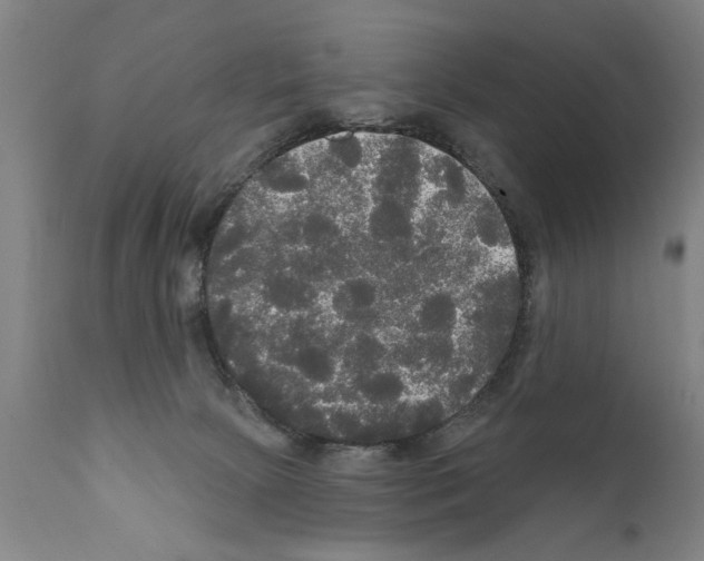 X0000111170081200908121057