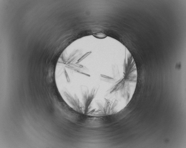 X0000111170082200908121057