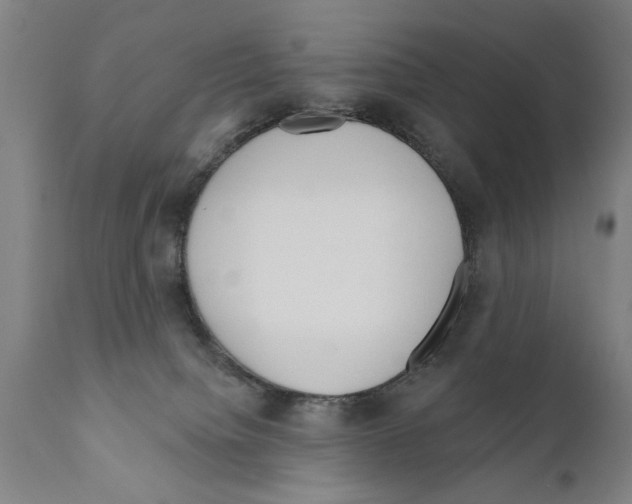 X0000111170084200908121057