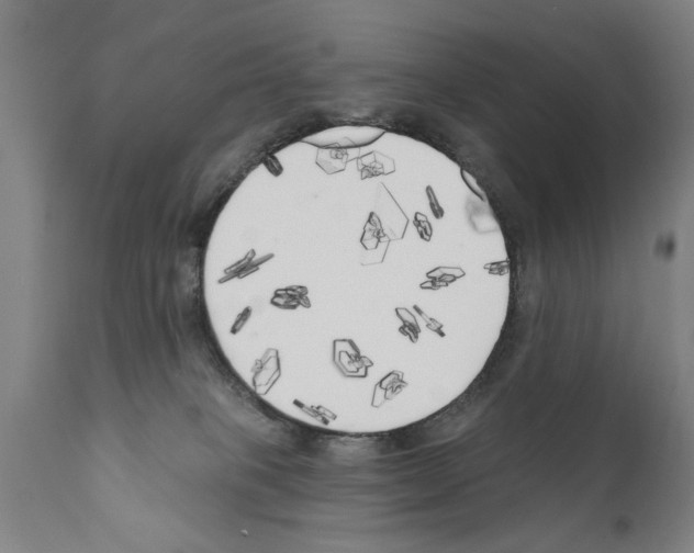 X0000111170085200908121057