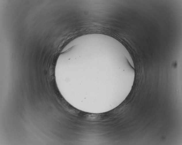 X0000111170088200908121057