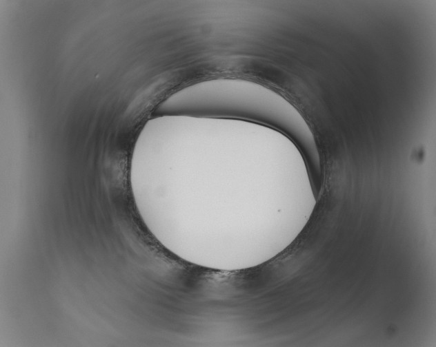 X0000111170092200908121057