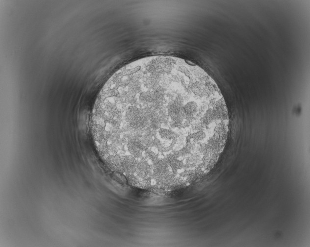 X0000111170093200908121057