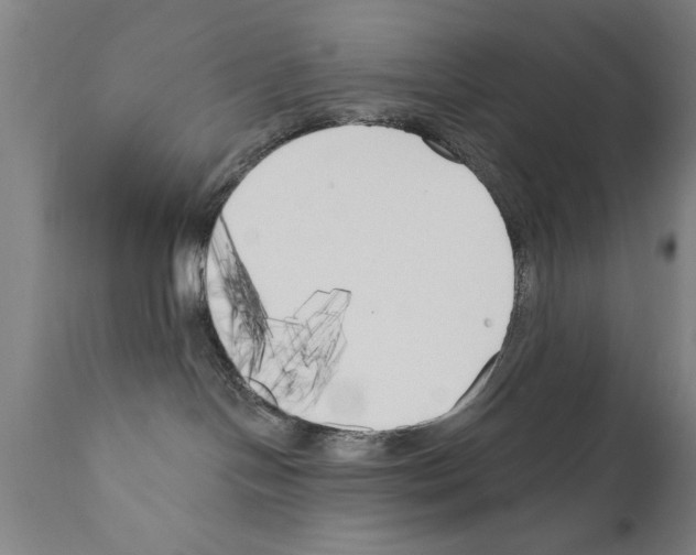 X0000111170094200908121057