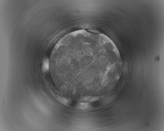 X0000111170095200908121057