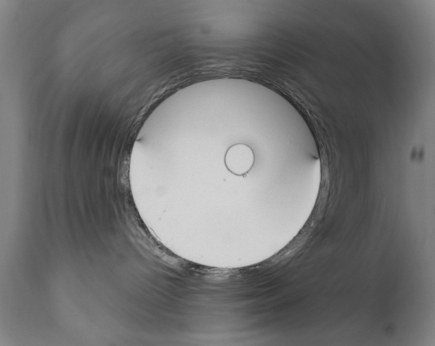 X0000111170096200908121057