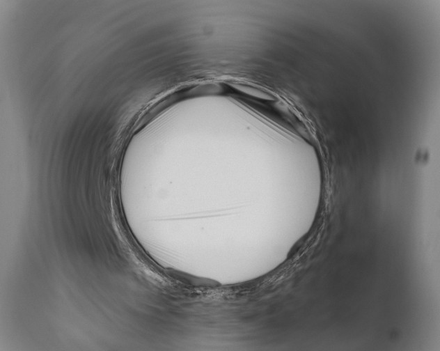 X0000111170097200908121056