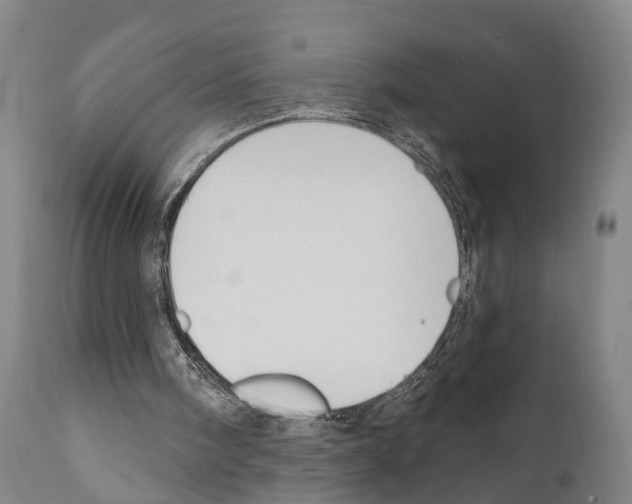 X0000111170098200908121056