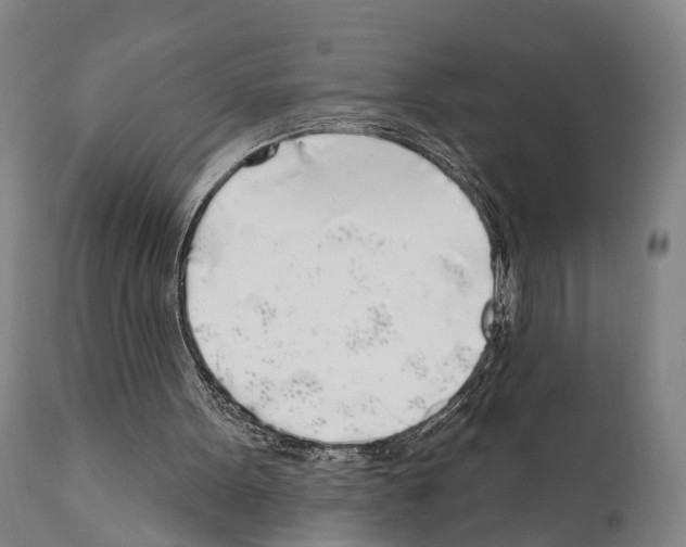 X0000111170099200908121056