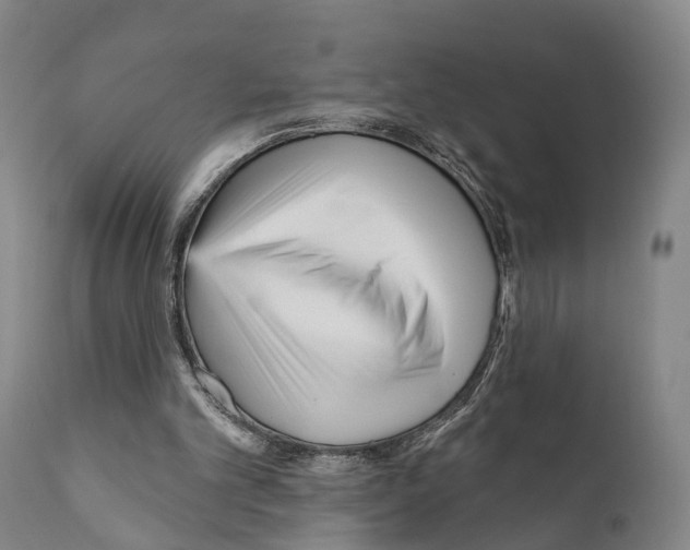 X0000111170101200908121056