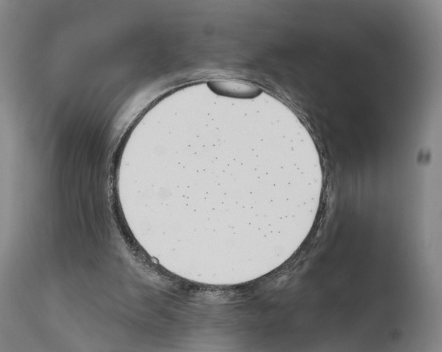 X0000111170103200908121056