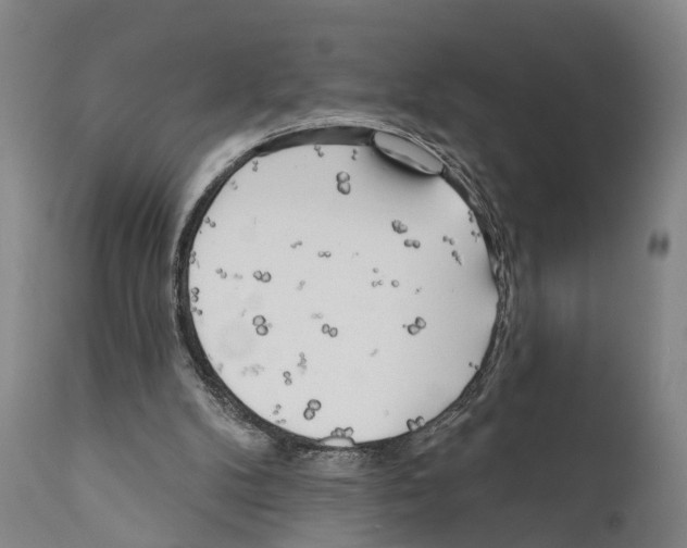 X0000111170104200908121056