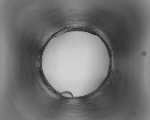 X0000111170105200908121056