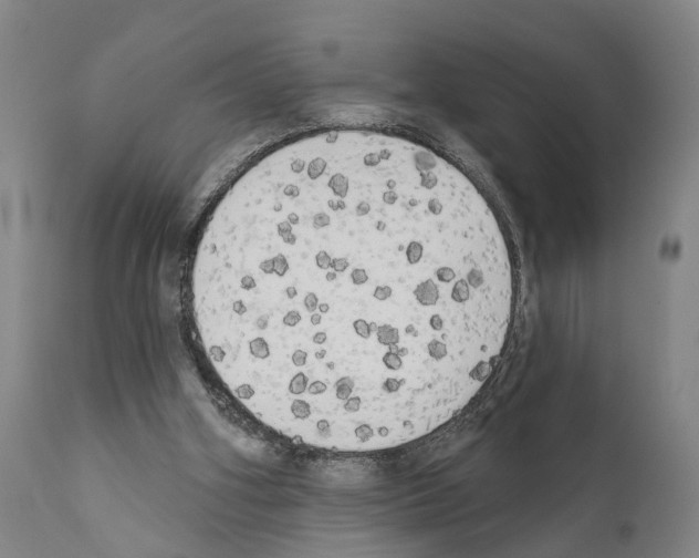 X0000111170106200908121056