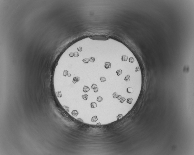 X0000111170107200908121056