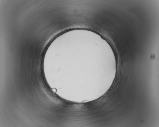 X0000111170108200908121056