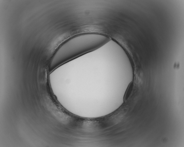 X0000111170109200908121056