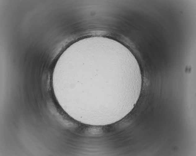 X0000111170110200908121056