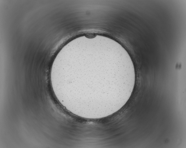 X0000111170111200908121056