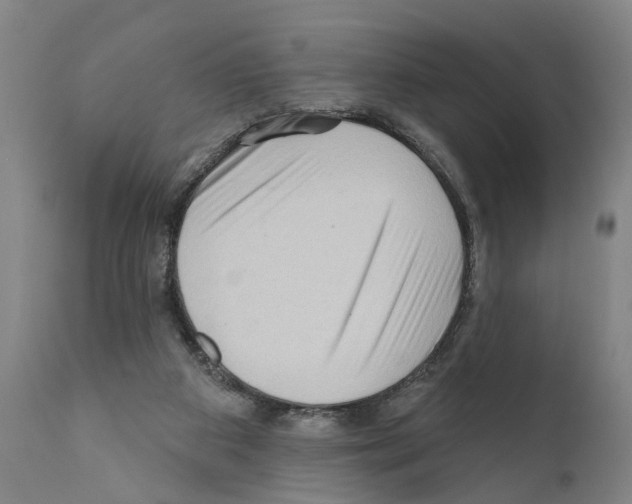 X0000111170113200908121056