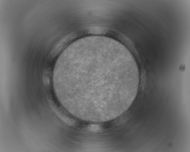 X0000111170114200908121056