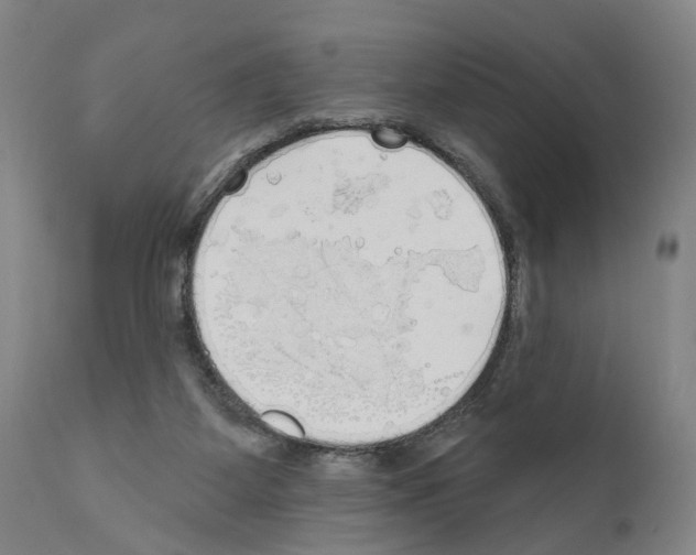 X0000111170115200908121056