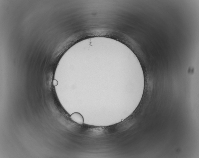 X0000111170118200908121056