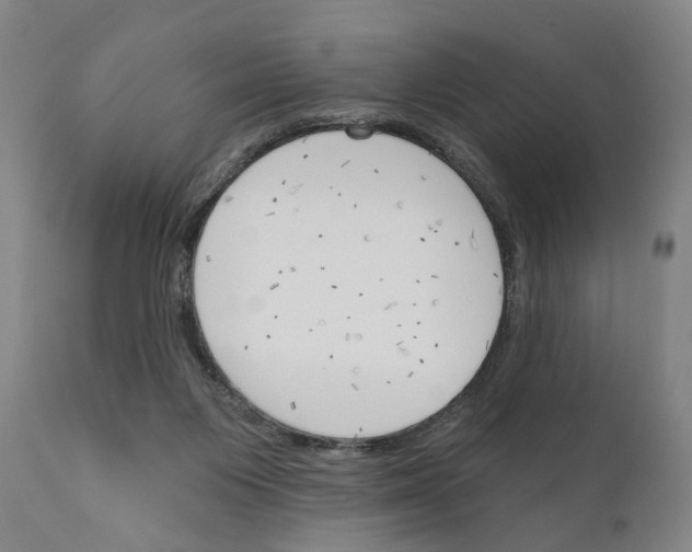 X0000111170119200908121056