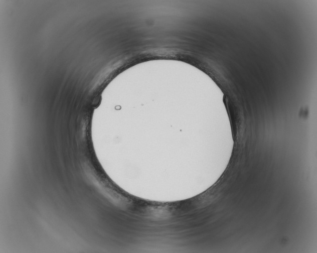 X0000111170120200908121056