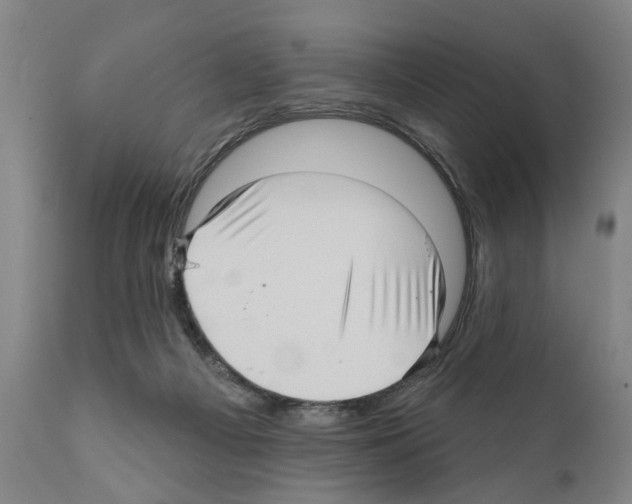 X0000111170121200908121056