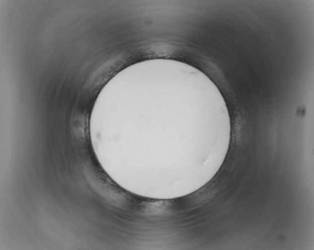 X0000111170122200908121056