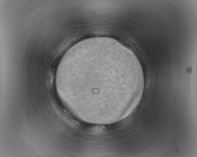 X0000111170124200908121056