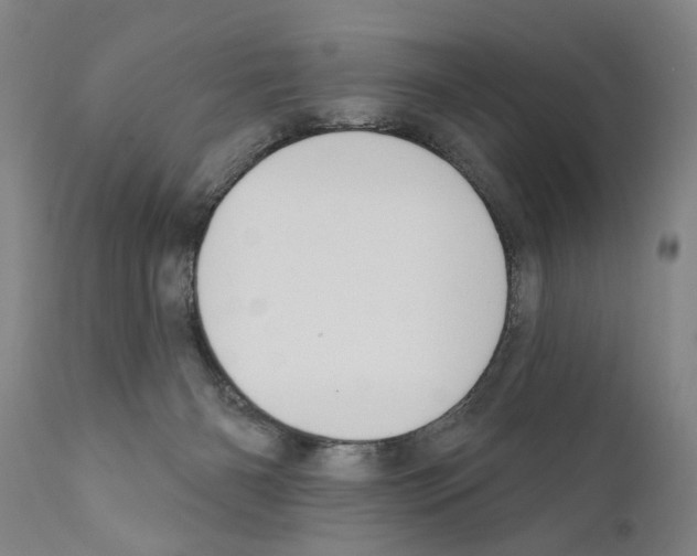 X0000111170126200908121056