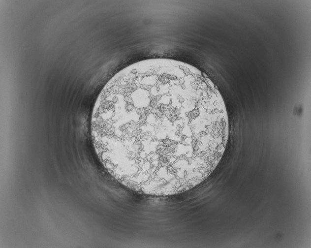 X0000111170127200908121056