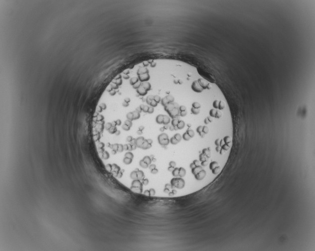 X0000111170128200908121056