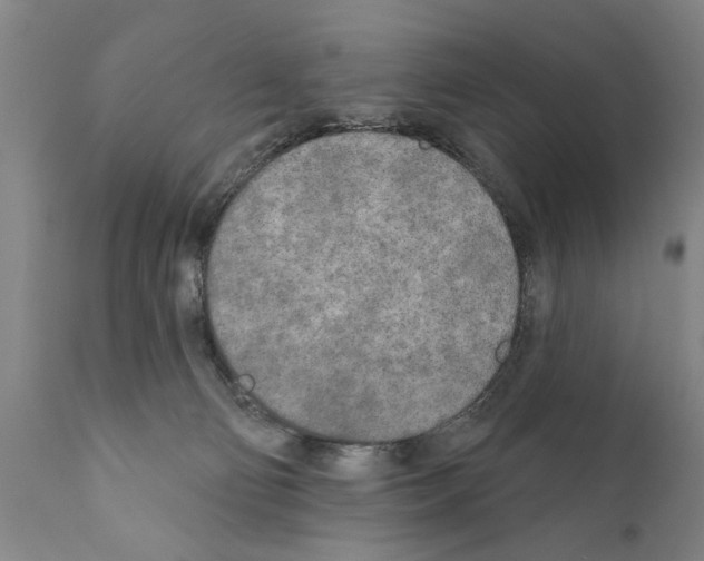 X0000111170130200908121056