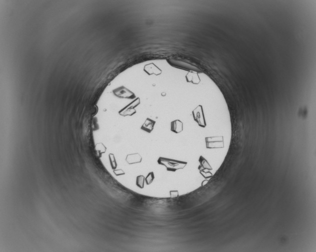 X0000111170131200908121056