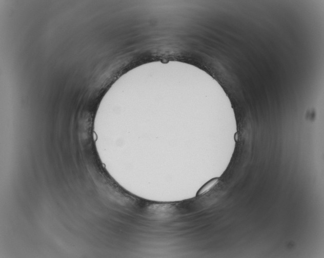 X0000111170133200908121056