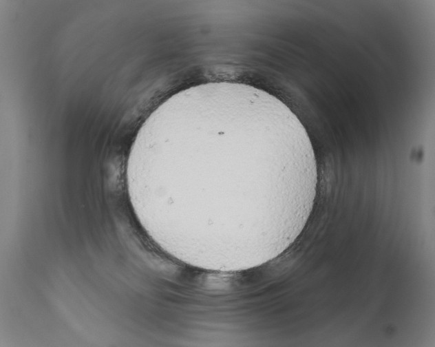 X0000111170134200908121056