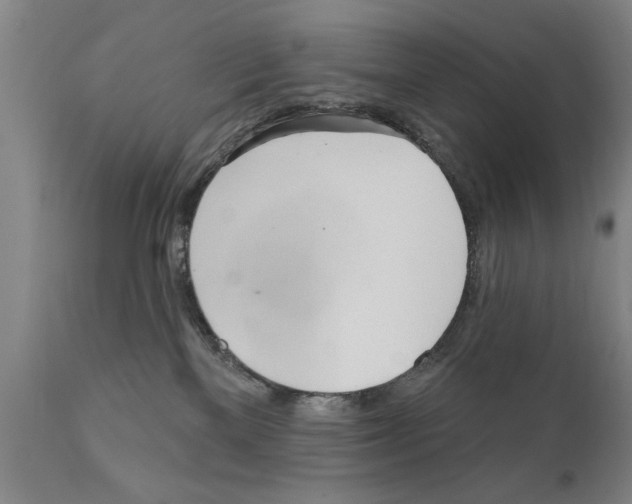 X0000111170137200908121056