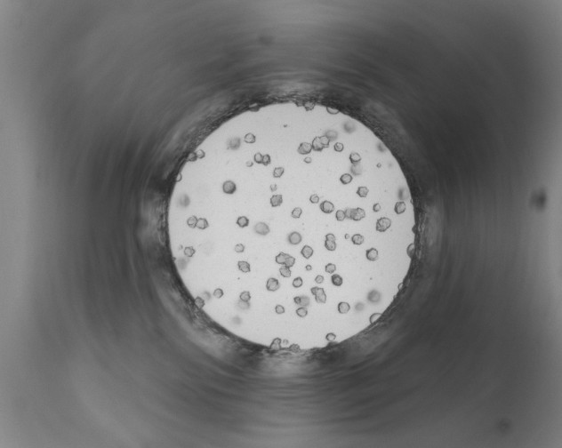 X0000111170138200908121056