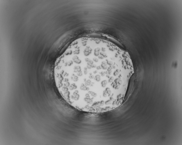 X0000111170140200908121056