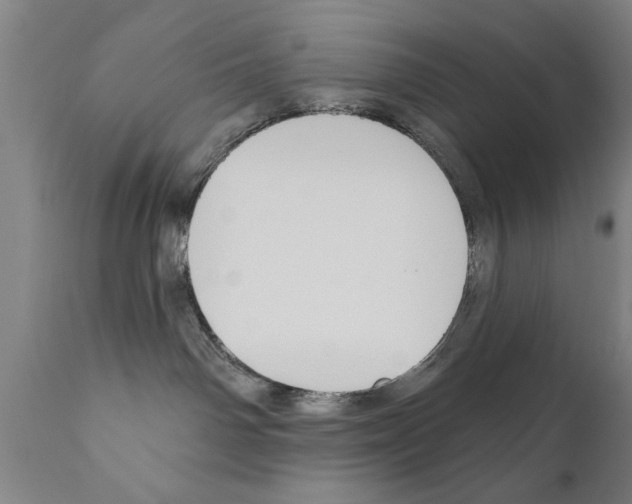 X0000111170142200908121056