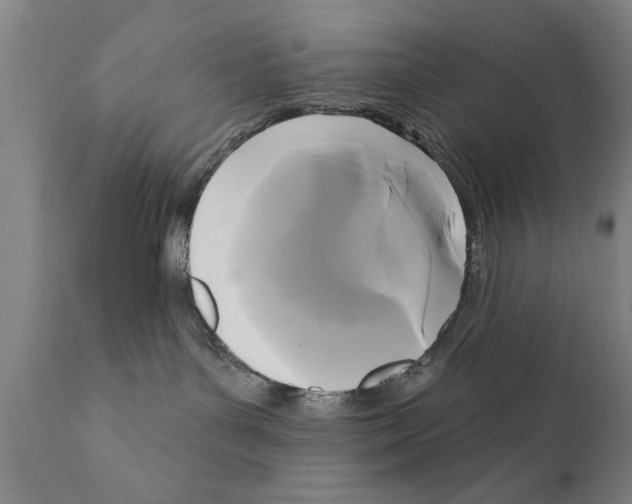 X0000111170143200908121055