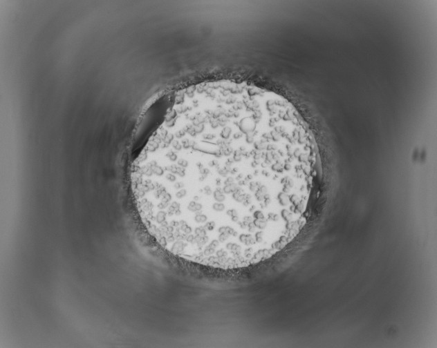 X0000111170144200908121055