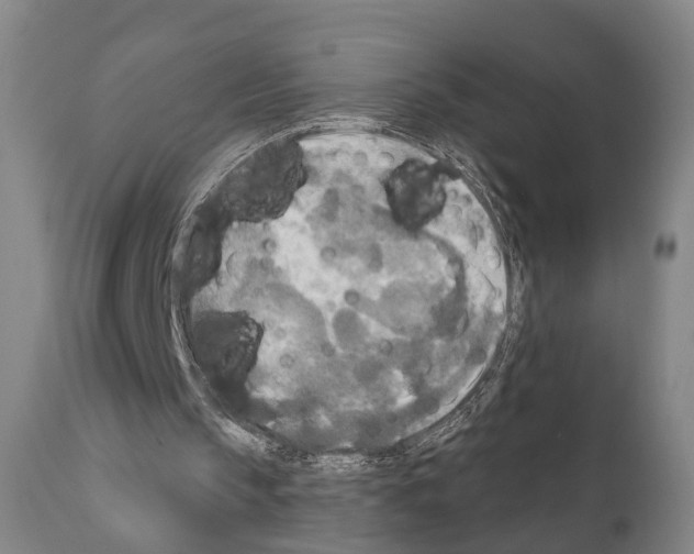 X0000111170145200908121055