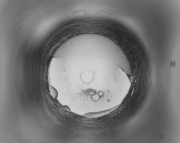 X0000111170146200908121055