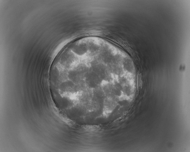 X0000111170147200908121055